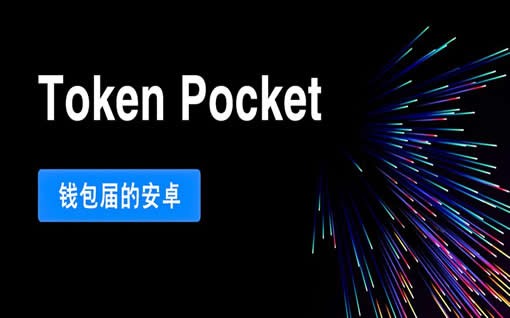 数字钱包tp钱包什么意思